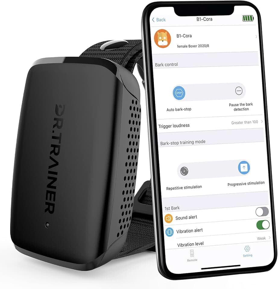 Training b1. Oxford exam b1 trainer ukraine. Training b1. тренировка с тренером в тренажерном зале. занятия с тренером в тренажерном зале.
