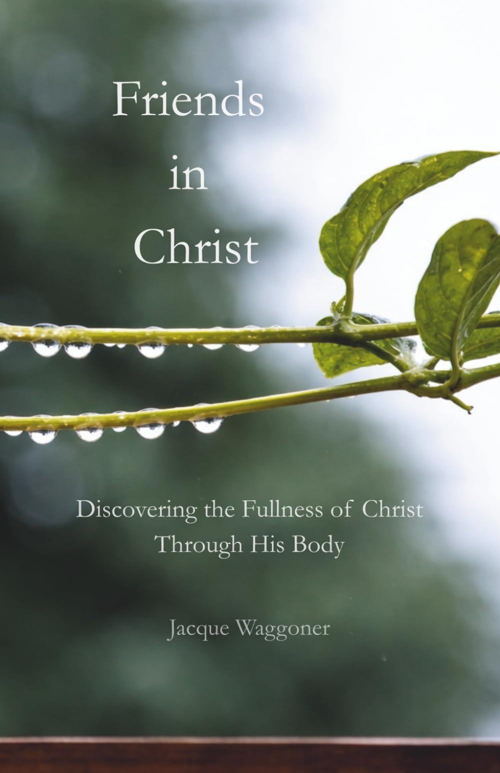 Friends in Christ: Discovering the Fullness of Christ Through His Body