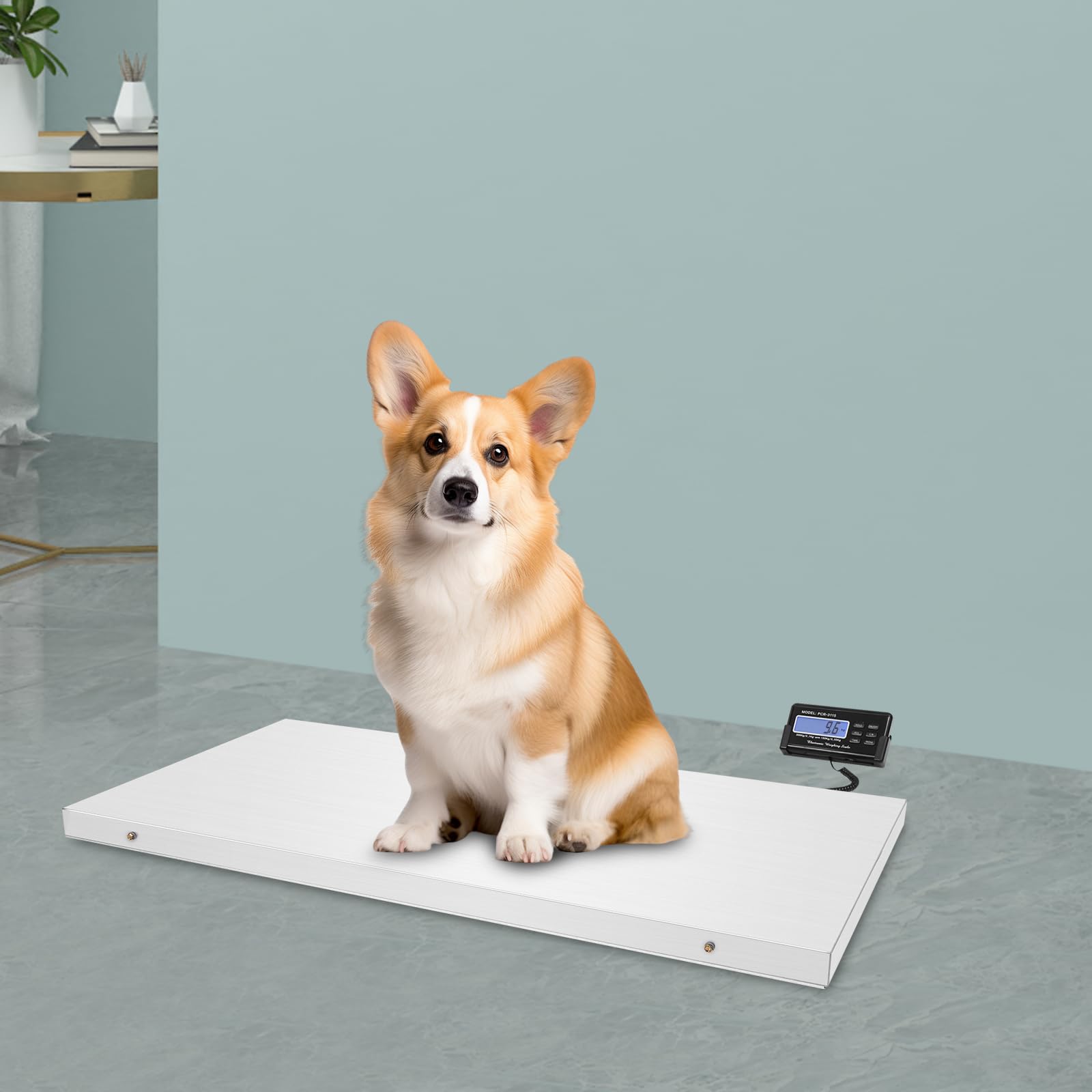 Digitale Tierwaage Elektronische Bodenwaage Veterinärwaage Paketwaage Hundewaage Katzenwaage Plattformwaage Zwei Wägemodi Bodenwaage Edelstahl Tierwaage mit LCD Display