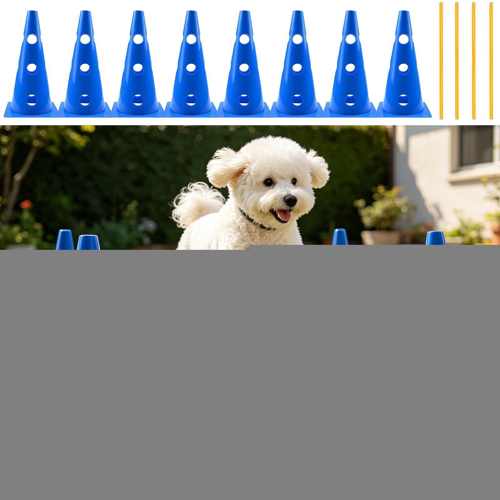 Dog Jumps Interactive Play Training Esercizio Attrezzature