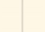 Gilded Ivory Journal (Diary, Notebook)