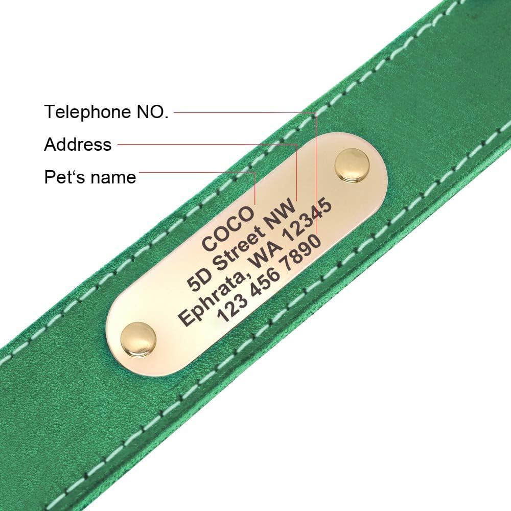 Didog Genuine Leather Dog Collars with Engraved Nameplate, Personalized Soft Leather Dog Collar with Custom ID Tag, Brown/Green/Red for Medium Large Dogs (XL,Green)