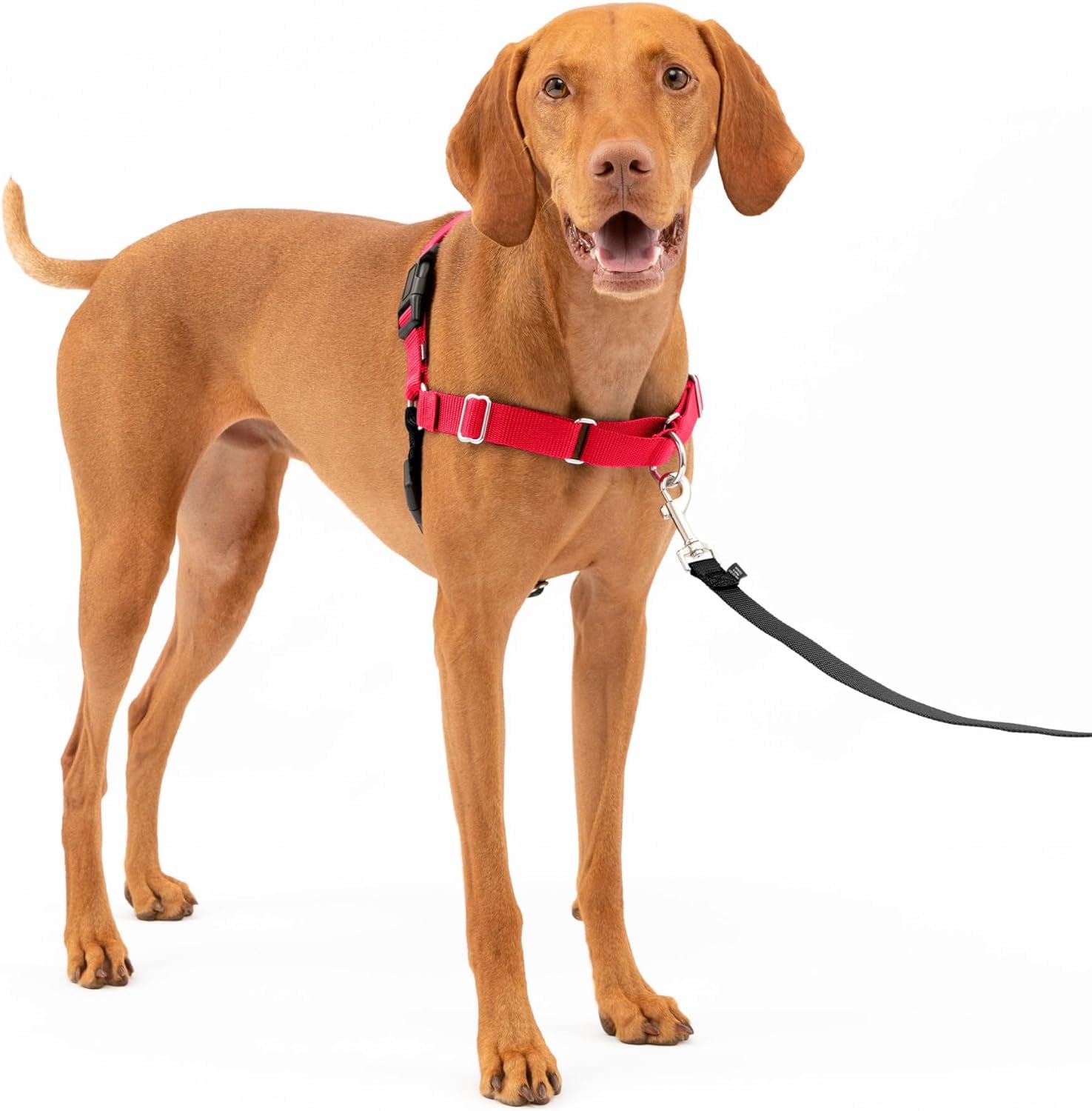 WapaW Premium No-Pull Dog Harness with Leash | Adjustable, Comfortable, and Durable | Stop Pulling Instantly | Front-Leash Attachment for Easy Control for Small Medium Large Dogs (Medium, Red) (B0CR932LWN) Amazon Price History, Amazon Price Tracker