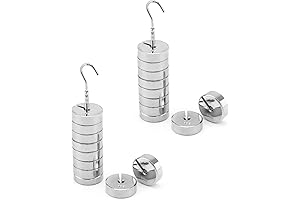 QWORK Slotted Mass Set: Precise Mini Weights for Accurate Measurements