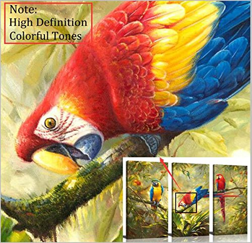 HLJ ART Design originale a 3 pannelli astratto Macaw pappagallo in Rain stampa su tela incorniciata con animali della foresta pittura per soggiorno e decorazione casa moderna con decorazioni (legno