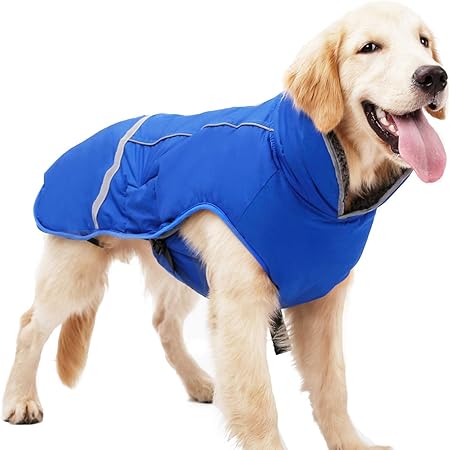 warmest dog clothes