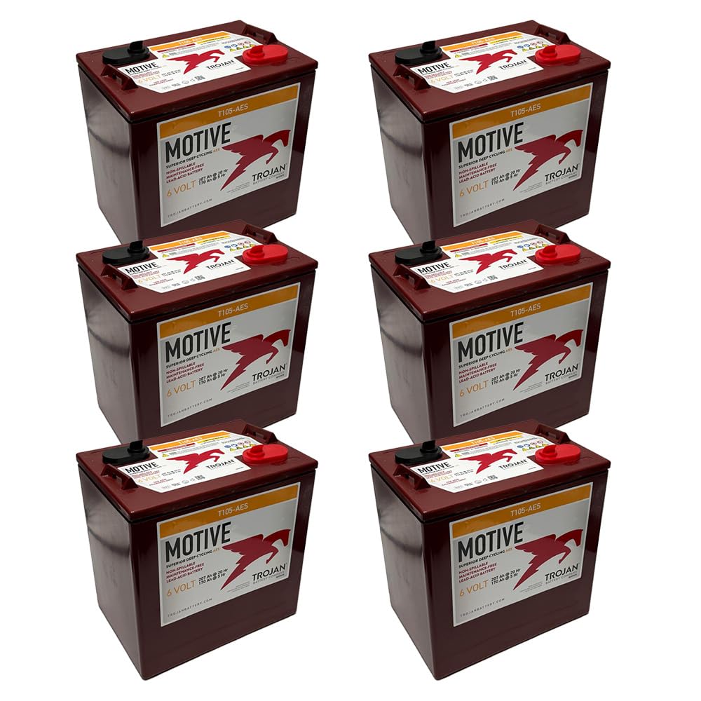 T105-AES 6V AGM Deep Cycle Batteries – 207Ah, Maintenance-Free, VRLA, Horizontal &amp; Vertical Install, Maroon (Pack of 6)