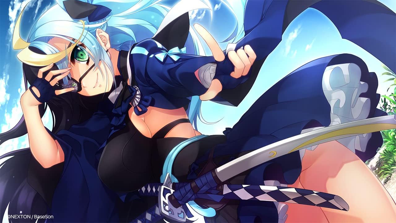 Amazon 戦国 恋姫ex壱 奥州の独眼竜編 予約特典 特製a4イラストカード 付き アダルトpcゲーム Pcソフト