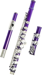 16 Closed Open Holes C Key Professional Transverse Flute Concert Musical Instrument With Box flute instrument (Color : Purple)