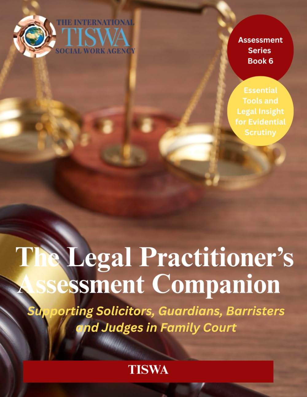 The Legal Practitioner’s Assessment Companion: Supporting Solicitors, Guardians, Barristers and Judges in Family Court (Assessment Series)