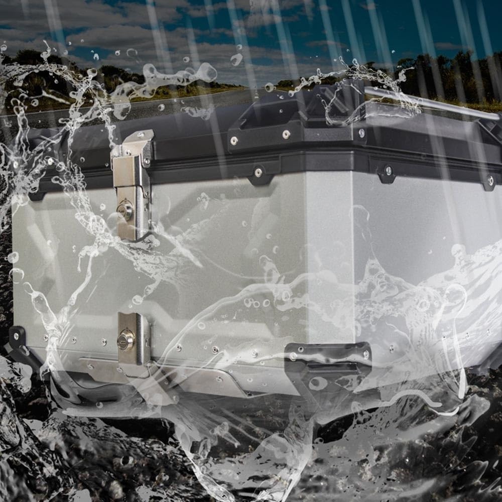 Bauletto Moto Impermeabile 28L 36L 45L 55L 65L 80L 100L Universale Valigia Moto Topcase Box Alluminio Con Cuscino Schienale, per Motocicletta, Scooter, Quad(Silver,28L)