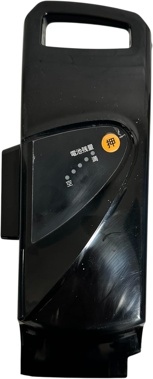 Panasonic 25.2V-13.2Ah Lithium Ion Battery - Black Puerto