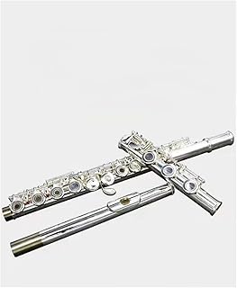 Beginner Flute Students 16 Holes Open And Close Dual-purpose Silver-plated flute instrument