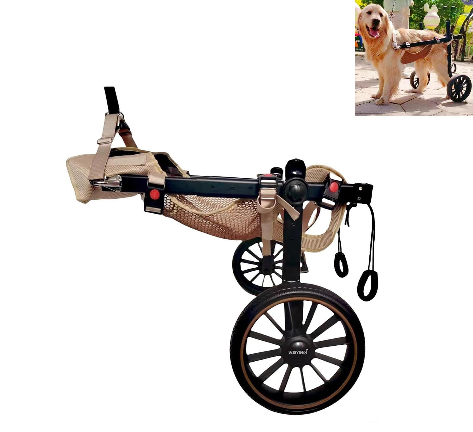 Amazon.co.jp: 大型犬用犬用車椅子、調節可能なペット用移動カート 