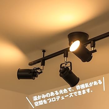 ブラック円筒形LEDスポットライト　コイズミ　ダクトレール用　4個 Amazon.co.jp: 共同照明 4個セット ダクトレール用 スポット
