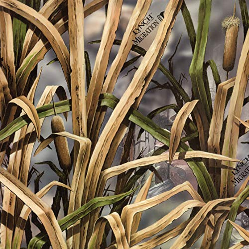 Water Transfer Printing Film - Hydrographic Film - Hydro Dipping- Migration II - RC-468-A