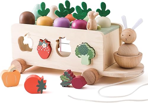 OESSUF Montessori Toys - Juguetes educativos de madera para bebés, niños y niñas, clasificación de formas y a juego, juguetes de habilidades motoras