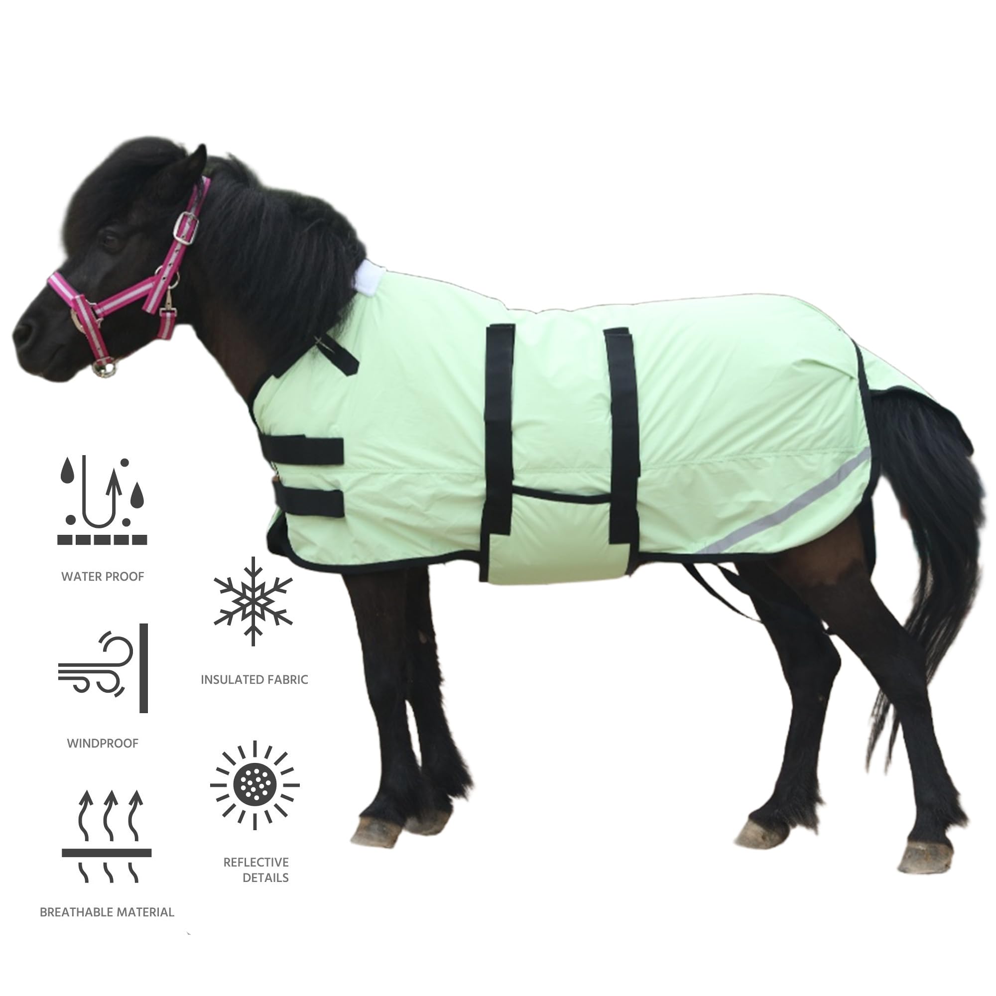Leberna Coperta invernale per puledro e mini cavallo, 300D, traspirante, in miniatura, con fascia per la pancia (imbottitura da 150 g) (verde erba, L (90 - 100 cm)