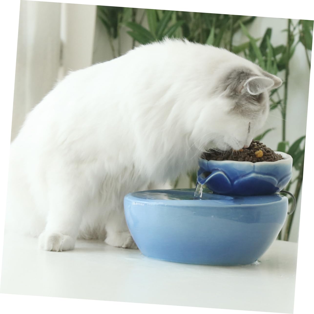 PartyKindom Dispenser d Acqua Automatico per Gatti e Animali Domestici in Ceramica Capacità 1,5l con Filtro Integrato Ciotola a Forma di Loto Design Creativo per Uso Domestico