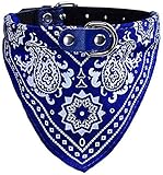 Añadir aproximadamente 1,5–2 cm para que el collar le quede un poco suelto a la mascota y no demasiado apretado.