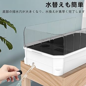 原画　　陸ガメ　２　A4サイズ 原画 陸ガメ 2 A4サイズ 送料無料 陸ガメ 2 A4サイズの通販 by