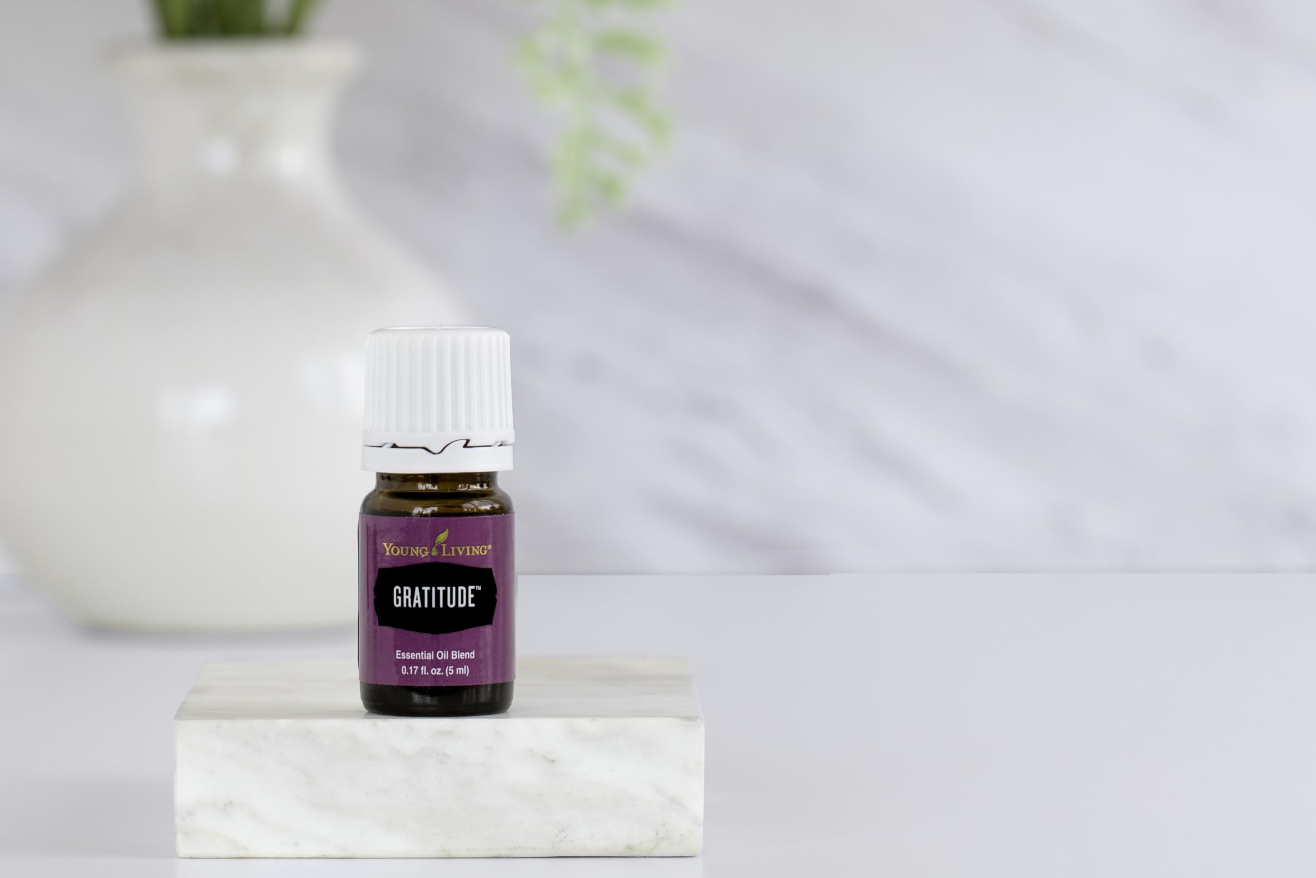 Amazon.com: Young Living Gratitude Essential Oil Blend 5ml