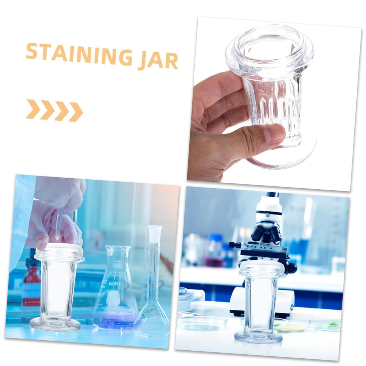 Generico 3 Pz vaso per tintura Porta vetrini microscopici vaschetta per colorazione per campioni cellulari vasetto di colorazione per la ricerca vaso di germinazione Bicchiere Transparent