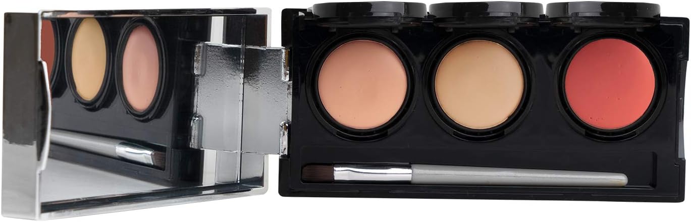 Dermaflage Tattoo Cover Up Makeup (Light) - Bruise Full Coverage Concealer - Full Coverage Waterproof Concealer for Bruise, Scar & Acne - Smudge Proof Body Makeup Palette with 3 Pro SFX Shades + Brush