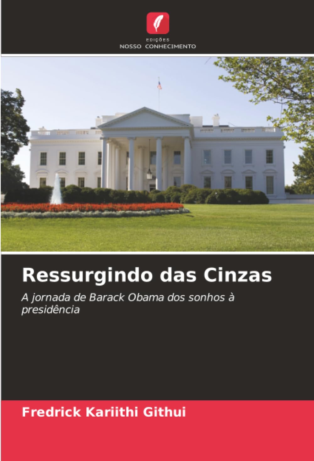 Ressurgindo das Cinzas: A jornada de Barack Obama dos sonhos à presidência