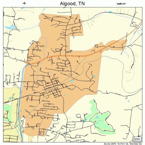 Large Street & Road Map of Algood, Tennessee TN Printed poster size