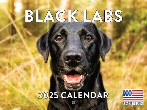 Vista 163 de Calendario Goldendoodle 2026 Golden Doodle mensual de pared calendario de 12 meses Fabricado en Estados Unidos