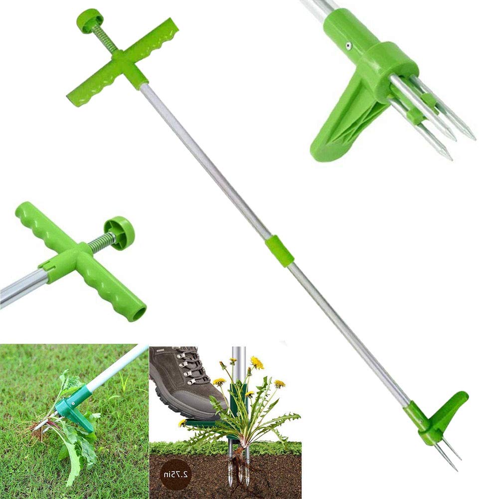 The Weeder - Stand-Up Weed Puller Tool, 42 Inch Lightweight Metal Design, Removes Thistle, Dandelions & Crabgrass (2 Lbs) - View #6