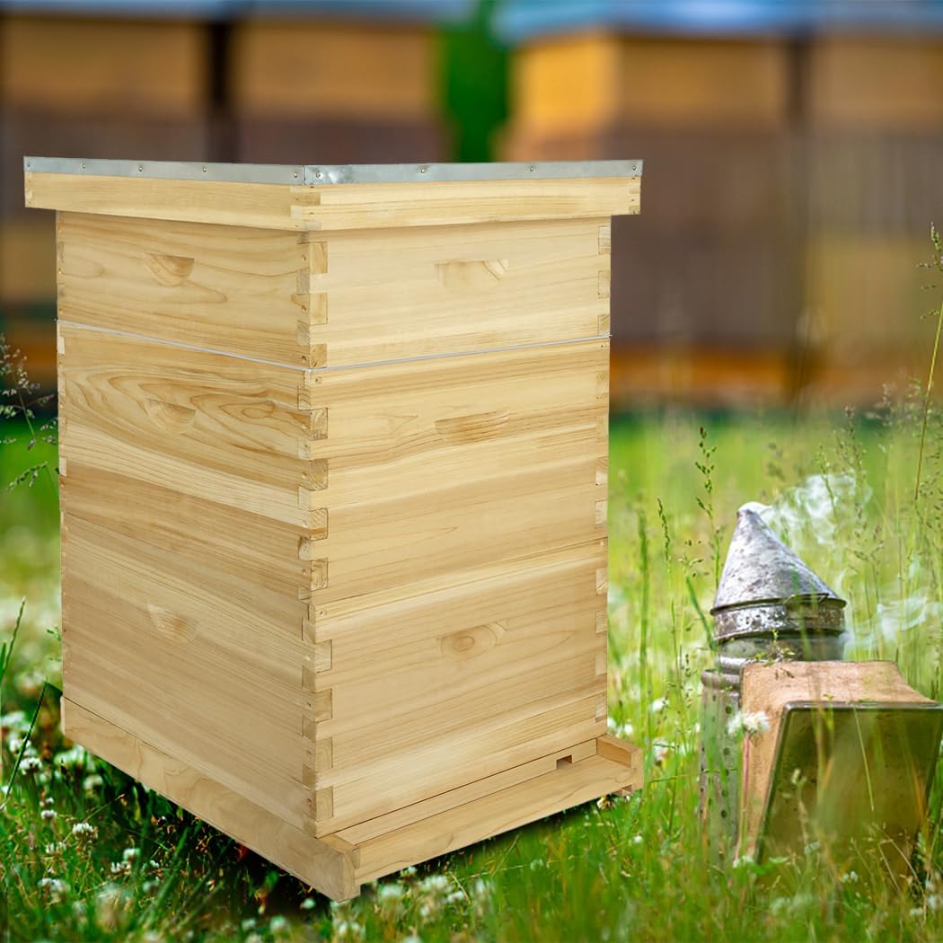Bee Hive Boxes 10 Frame Langstroth Beehive,Complete Beehive Kit Includes 2 Deep Brood Bee Hives Box, 1 Medium Super Bee Box with Beehive Frames and Foundation