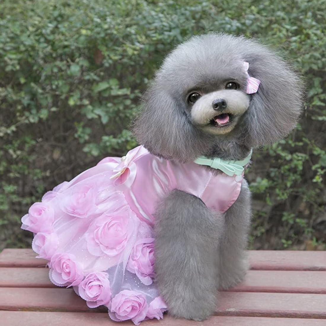 Amazon | 犬のドレス高級子犬のスカート犬の服プリンセスドレス結婚式