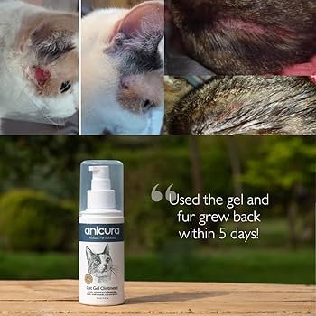 Anicura Dog Shampoo | Natural Relief For Itchy, Sensitive Skin | Soothes, Moisturises, & Nourishes