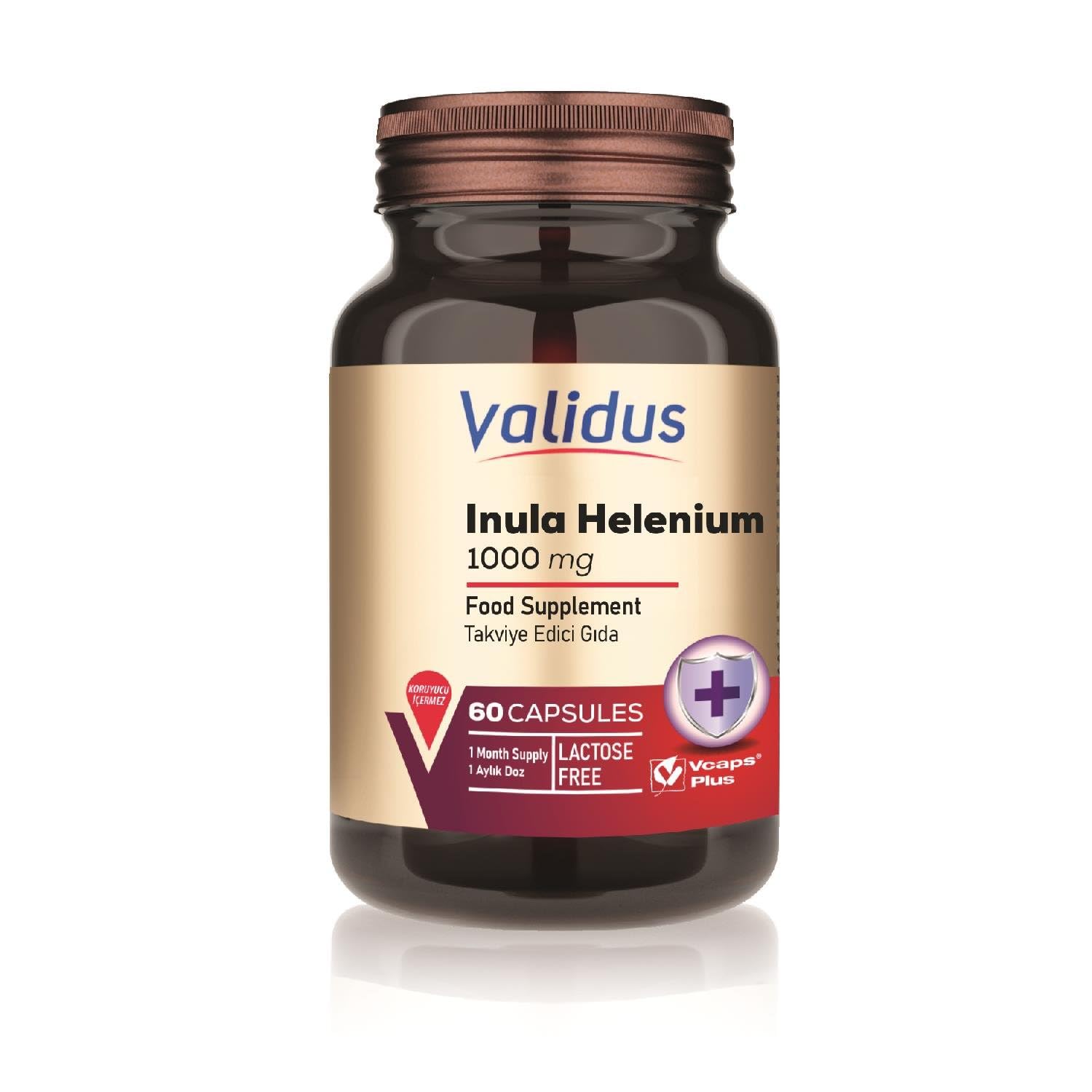 Validus Inula Helenium 1000 Mg 60 Capsules (ANDIZ EXTRACT)