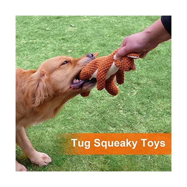 Tough Chew Toys for Medium Dog Breed