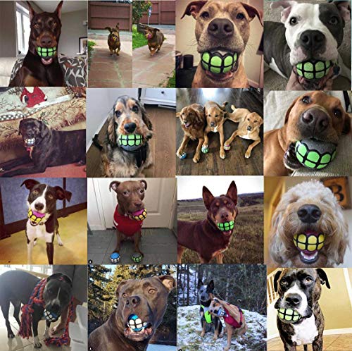 Dawg Grillz Dog Balls Toys Squeaky Fetch - Rubber Funny Ball Gifts For Large Medium Dogs (Variety Pack) #TOP5