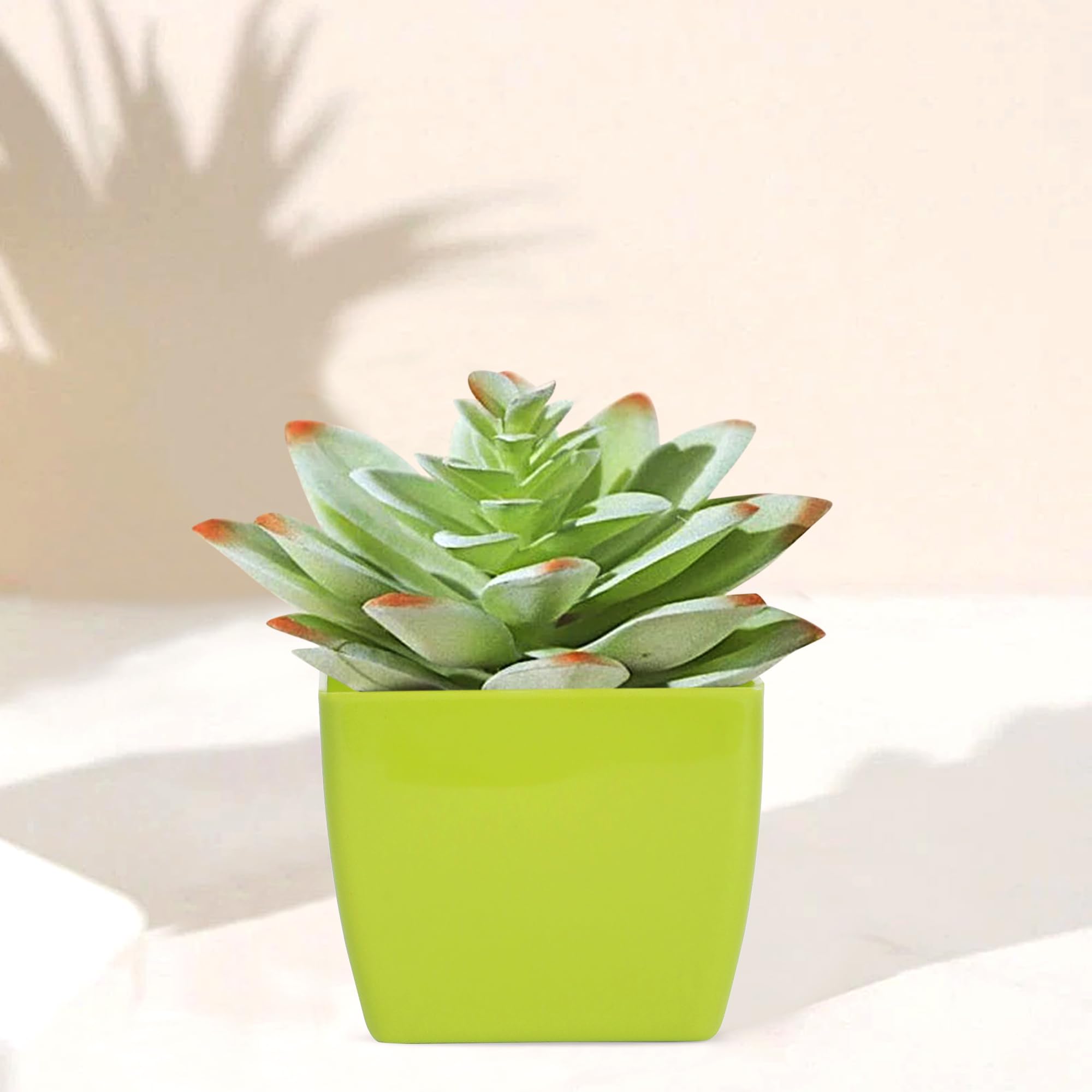 Short Square Plastic Pot-Planter 3 inches, Set of 4, for Succulents, Home Decor, Office, Dining (Green) (B0D7QDFZPX) Amazon Price History, Amazon Price Tracker