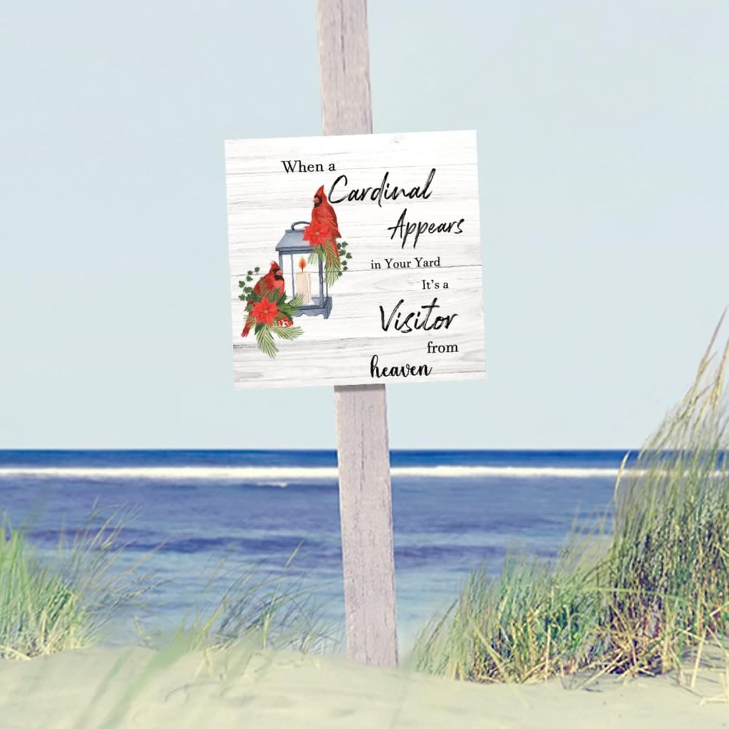 It's A Visitor from Heaven Wood Sign Winter Red Bird Mistletoe Wood Wall Art Vintage Holy Night Wall Art Decor For Home Laundry Room Kitchen Bedroom Housewarming Gift 16x16in