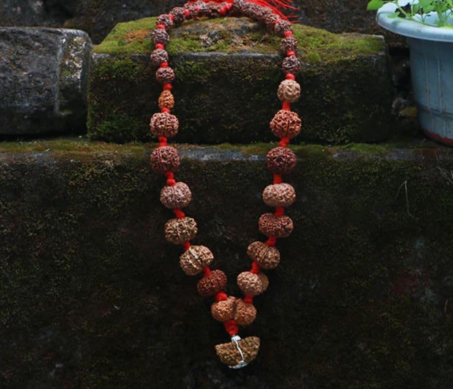 1 To 14 Mukhi Rudraksha Mala Original Certificate Sarva Siddha Mala Nepal 1 14 Mukhi Rudraksha Kantha Gauri Shankar & Ganesh एक से चौदह मुखी रुद्राक्ष माला Knotted Thread सर्वा सिद्धा माला ओरिजिनल सर्टिफाइड Natural 1 to 14 Mukhi Rudraksha Mala With Extra 5 Mukhi Rudraksha Best Combination Ek Se 14 Mukhi Nepali Rudraksha Mala For Men & Women By IRIS GEMS 2