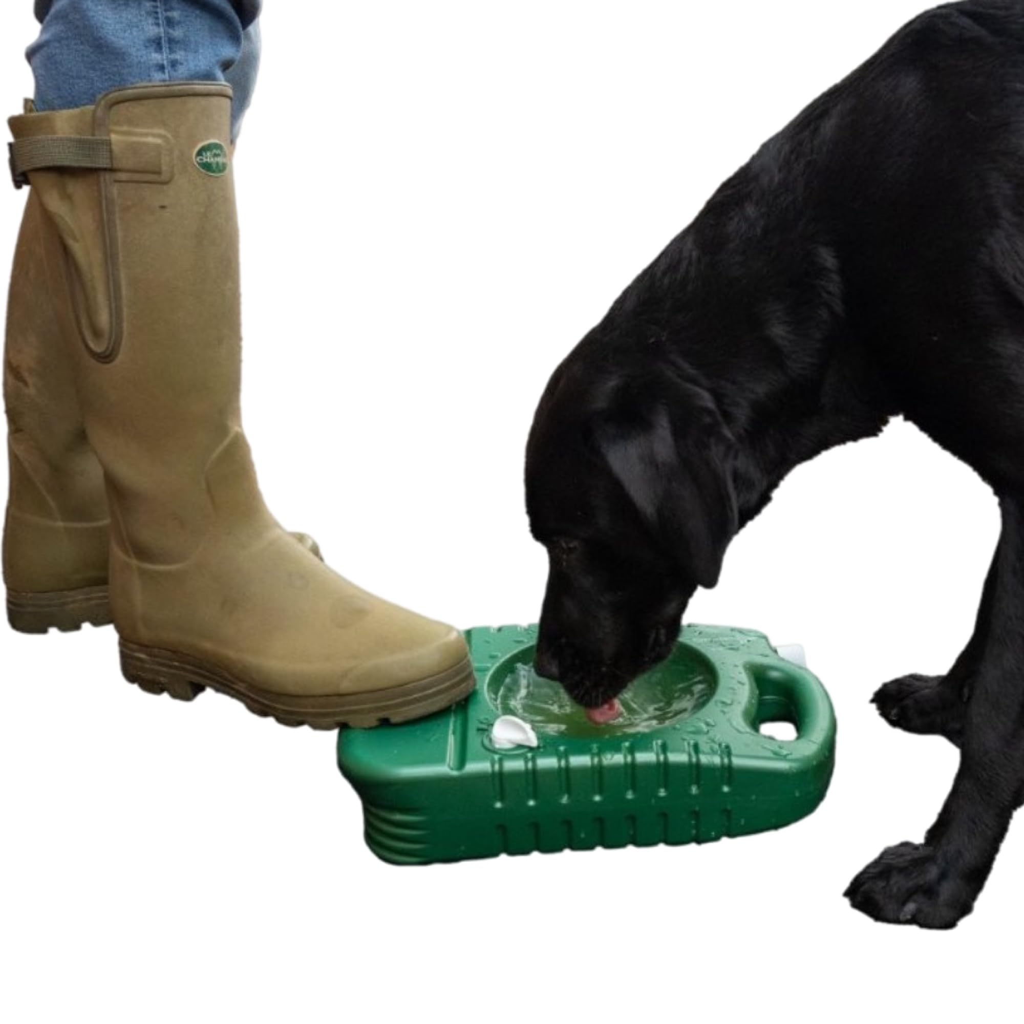 Gamelle de voyage pour chien - Bouteille d'eau pour chien 4 l - Gamelle portable avec poignée - Grand distributeur d'eau stable - Pompe à pied - Voiture - Voyage en plein air - Camping - Fournitures