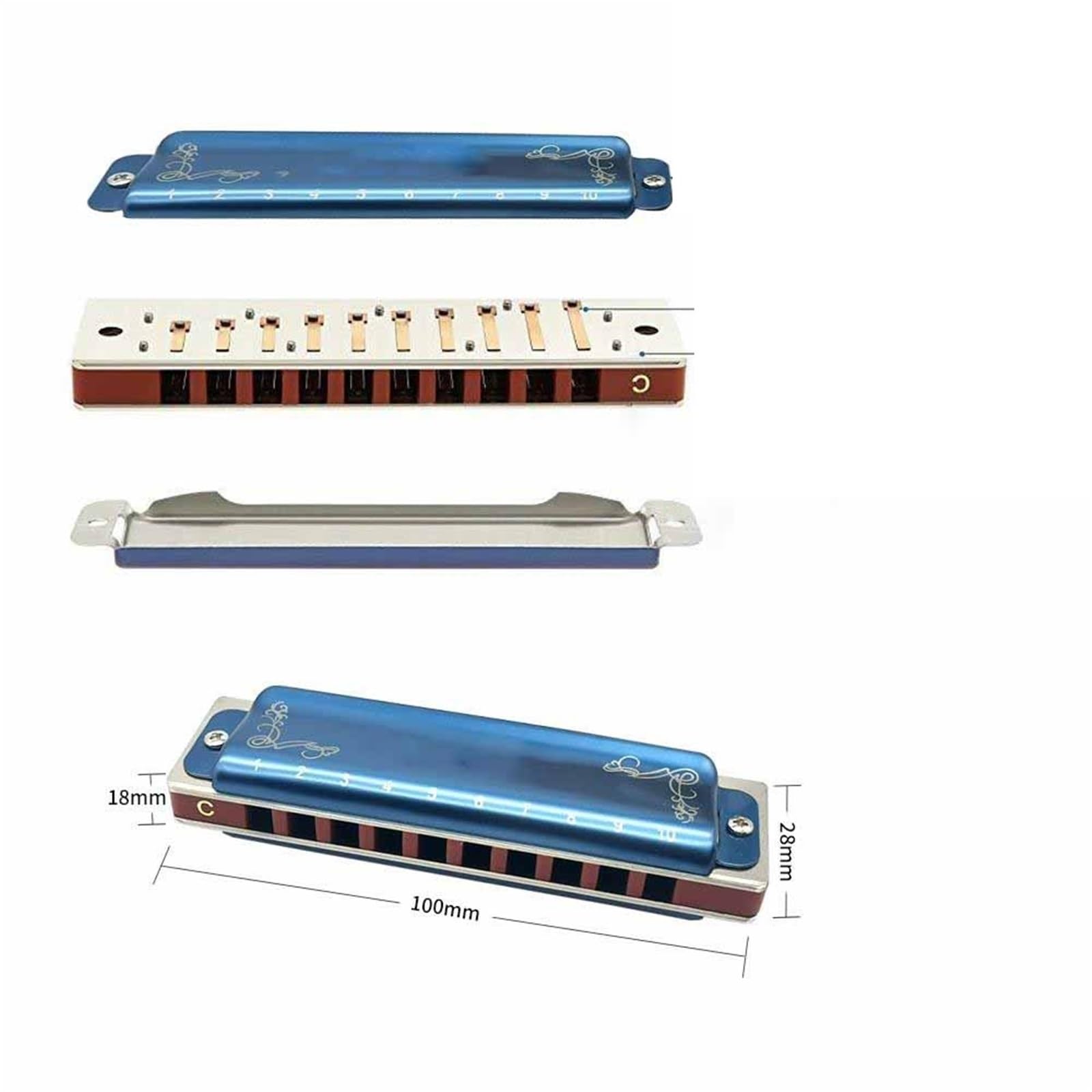 Profesjonalistów Harmonijka 10otworowa 20tonowa Diatoniczna Harmonijka Bluesowa Z Futerałem Dla Dorosłych(Blue C)