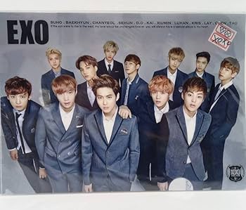 EXO 公式トレカ 15枚セット セフン ベッキョン チャニョル スホ Amazon.co.jp: EXO 12人 クリアファイル B チャニョル カイ