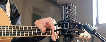 Amazon.co.jp: Lewitt LCT 440 PURE ラージダイアフラム