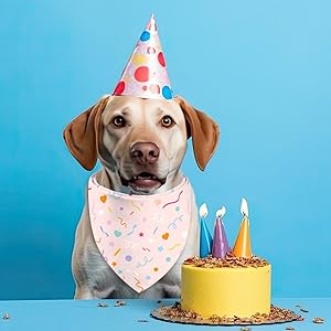 Happy Birthday Dog Bandanas, Double Sided Adjustable Birthday Party Pet Decorations 2 Pack Triangle Bibs Cat Scarf Set