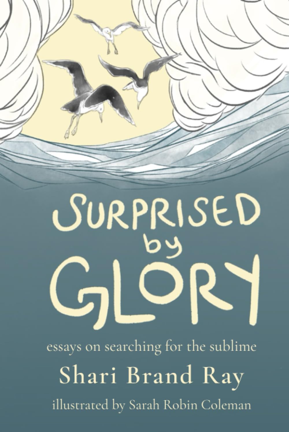 Surprised by Glory: Essays on Searching for the Sublime