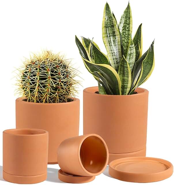 vensovo Terracotta Pots with Drainage and Saucers - 3.5/4.2/5.2/6.0 Inch...