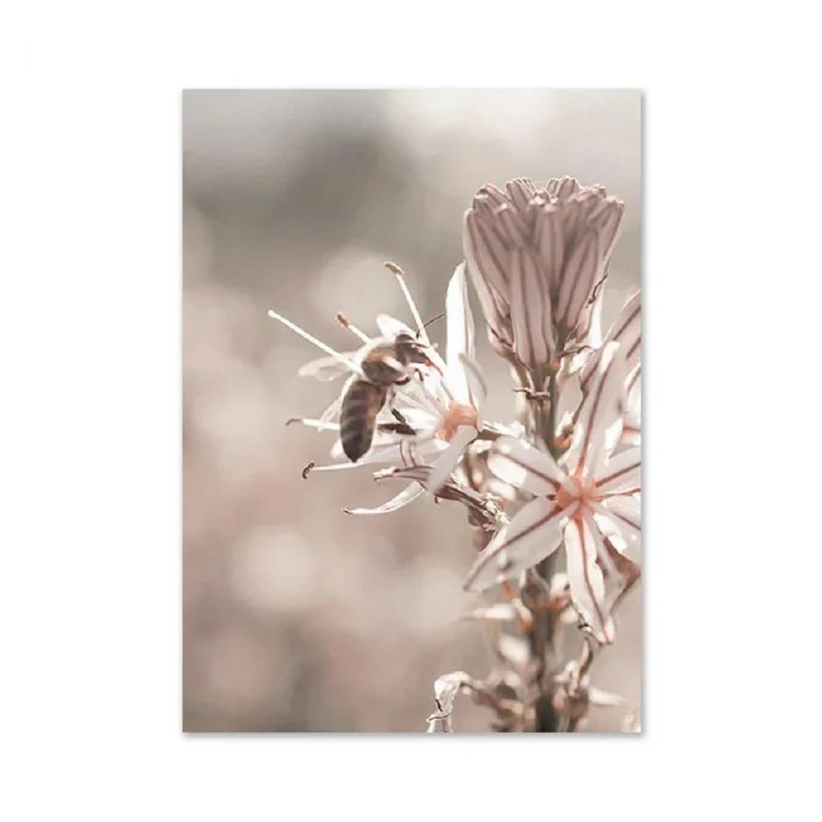 Byambd D Byamb Aesthetic Pictures Nordic Beige Landscape Ree Hay Poster Prints Bridge Bir Consumption Canvas Painting Wall Art Pictures For Living Room Home Ecor(,40X50cm)