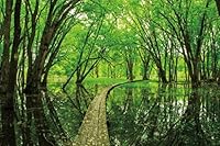 Capture Minnesota Volume III 1597254797 Book Cover